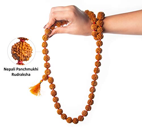 Wonder Care Authentic Rudraksh Mala-5face- Genuine Himalayan Rudraksha Seeds Religious Ornament Rosary Japa Mala Necklace Prayer Mala Healing Beads - color: 54+1 beads-10pc