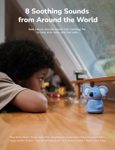 Calming Pal & Mini Breathing Pal Set