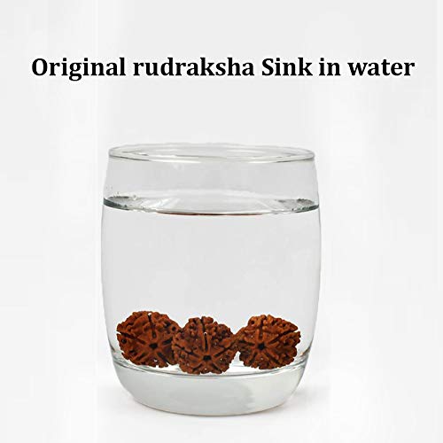 Wonder Care Authentic Rudraksh Mala-5face- Genuine Himalayan Rudraksha Seeds Religious Ornament Rosary Japa Mala Necklace Prayer Mala Healing Beads - color: 54+1 beads-10pc
