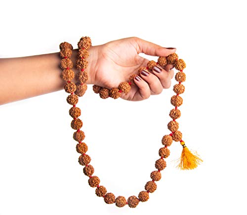 Wonder Care Authentic Rudraksh Mala-5face- Genuine Himalayan Rudraksha Seeds Religious Ornament Rosary Japa Mala Necklace Prayer Mala Healing Beads - color: 54+1 beads-10pc
