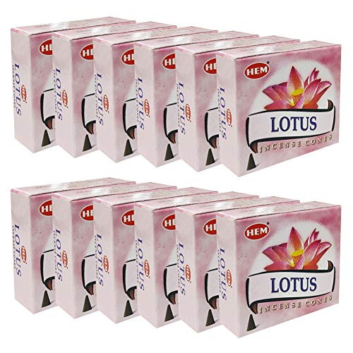 Lotus Incense Cones and Cone Incense Burner Bundle Insence Insense Hem Incense - color: Lotus