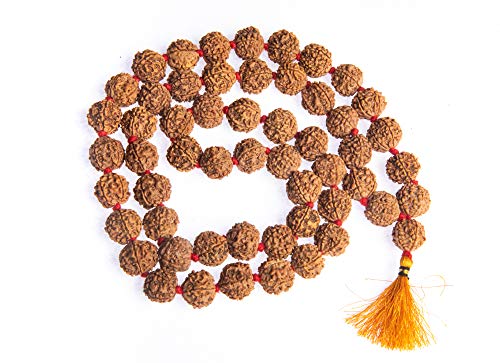 Wonder Care Authentic Rudraksh Mala-5face- Genuine Himalayan Rudraksha Seeds Religious Ornament Rosary Japa Mala Necklace Prayer Mala Healing Beads - color: 54+1 beads-10pc
