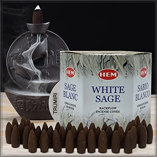 TRUMIRI White Sage Backflow Incense Cones For Waterfall And Mat Bundle Inciensos Aromaticos|Incienso|Inciense|Insienso - size: White Sage