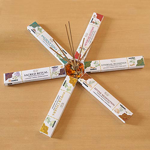 Raajsee Natural Incense Sticks,6 Pack Mixed Scents Gift Pack 15 gm Each (90 gm Total), Insense Sticks Variety Pack, 100% Organic Non Toxic Natural - Hand Rolled Free from Chemicals - color: Aromatherapy Collection