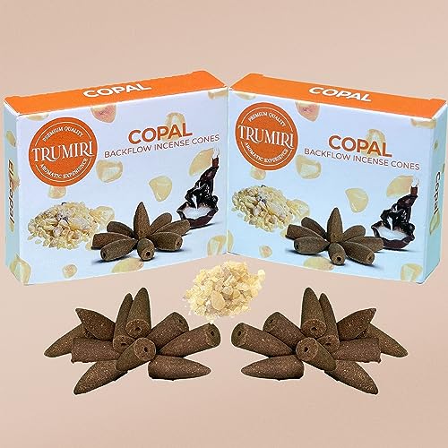 Copal Backflow Incense Cones - 20 Cones, Dual Pack of 10, Waterfall Effect - color: Copal, size: Pack of 2 (20 Cones)