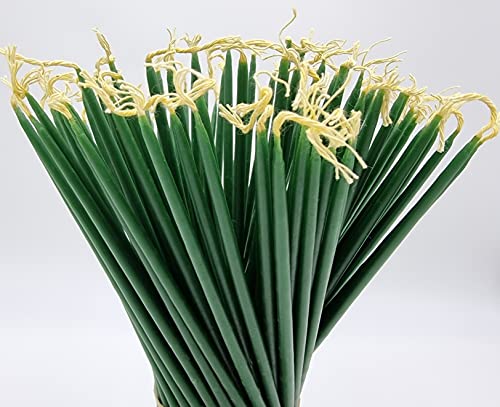 TALISMAN4U 50 Beeswax Taper Candles 11 inch Jerusalem Church Candles - color: Green