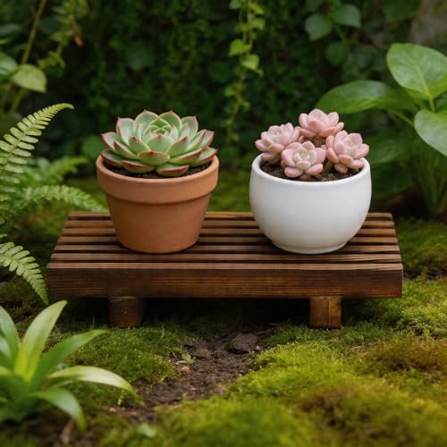 Klunk Wooden Risers, Wood Bathroom Tray & Kitchen Counter Riser, Set of 3 - size: 8.7" × 3.6"
