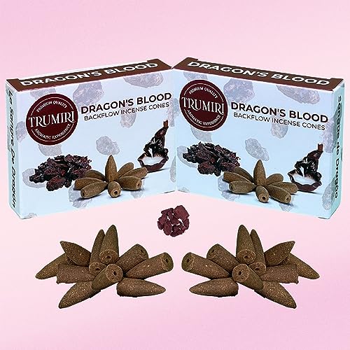 Dragons Blood Backflow Incense Cones - Total 20 Incense Cones Waterfall - Dual Pack of 10 Incense Backflow Cones - Waterfall Incense Cones - Incense Waterfall Cones - color: Dragons Blood, size: Pack of 2 (20 Cones)