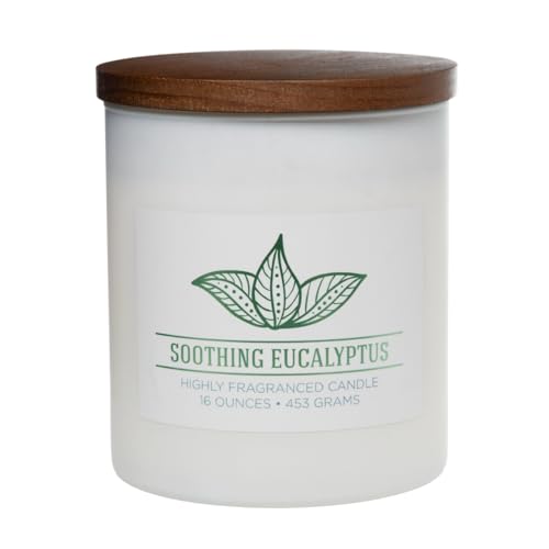 Carolina Soothing Eucalyptus Scented Candle, 16 oz Wellness Relaxing Aromatherapy Candle, 2 Wick White Jar Soy Blend Wax, Candles for Home, 60H Burn - Made in The USA - color: Soothing Eucalyptus