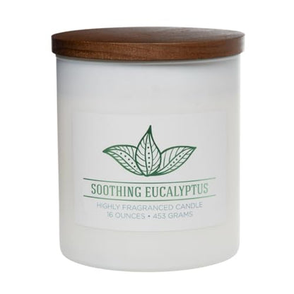 Carolina Soothing Eucalyptus Scented Candle, 16 oz Wellness Relaxing Aromatherapy Candle, 2 Wick White Jar Soy Blend Wax, Candles for Home, 60H Burn - Made in The USA - color: Soothing Eucalyptus