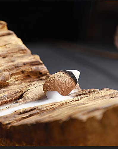 Zen Life 150 PCS Backflow Incense Cones Mixed Natural Scents - Sandalwood-Osmanthus-Rose-Lavender-Jasmine for Relaxation, Purification, Meditation, Yoga Gift