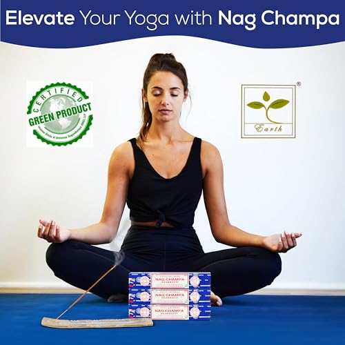 Satya Nagchampa Incense Sticks, Satya Bng (Bangalore) Insenses 15gmx3 Pack (45 GMS) with Raajsee Incence Holder Bundle, Satya Nagchampa Natural Incense - color: Nagchampa