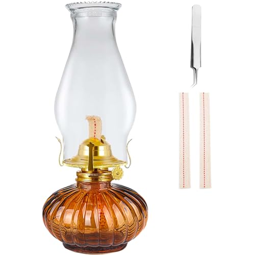 Large Oil Lamp for Indoor Use,Kerosene Lamp with 2 Pcs Wicks and 1 Tweezers
