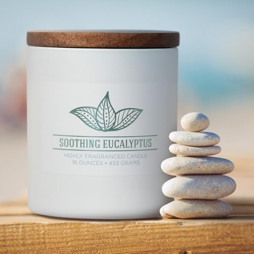 Carolina Soothing Eucalyptus Scented Candle, 16 oz Wellness Relaxing Aromatherapy Candle, 2 Wick White Jar Soy Blend Wax, Candles for Home, 60H Burn - Made in The USA - color: Soothing Eucalyptus