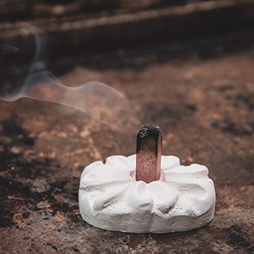 Incienso de Santa Fe - Juniper Natural Wood Incense Bricks with Holder, 100 Count - Made in the USA - color: Juniper, size: 100