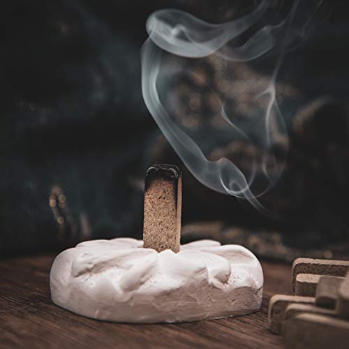 Incienso de Santa Fe - Alder Natural Wood Incense Bricks with Holder, 100 Count - Made in the USA - color: Alder, size: 100