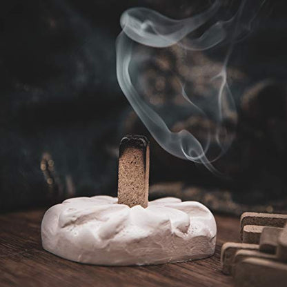 Incienso de Santa Fe - Alder Natural Wood Incense Bricks with Holder, 100 Count - Made in the USA - color: Alder, size: 100