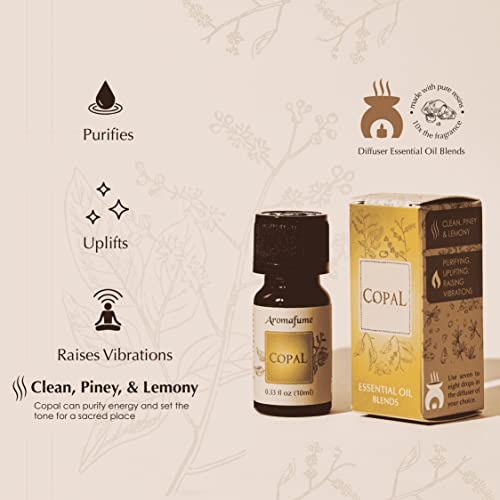 Spiritual Awareness Resin Essential Oil Diffuser Blend Gift Set by Aromafume | Frankincense, Myrrh, Benzoin, Copal, Frankincense & Myrrh | 5 x 10ml | Stimulate a Connection | Charged with Pure Resins