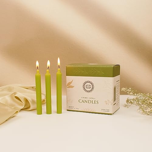 Raajsee Unscented Mini Taper Candles (Green) – 4 Inch Height × 0.5 Inch Diameter | Smokeless & Dripless | Paraffin Wax with Cotton Wicks | Long Burning (Pack of 20) - color: Green, size: 4 Inch - Pack of 40