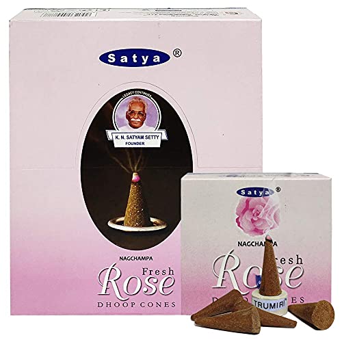 Fresh Rose Incense Cones and Cone Incense Burner Bundle Insence Insense Satya Incense - color: Fresh Rose-12