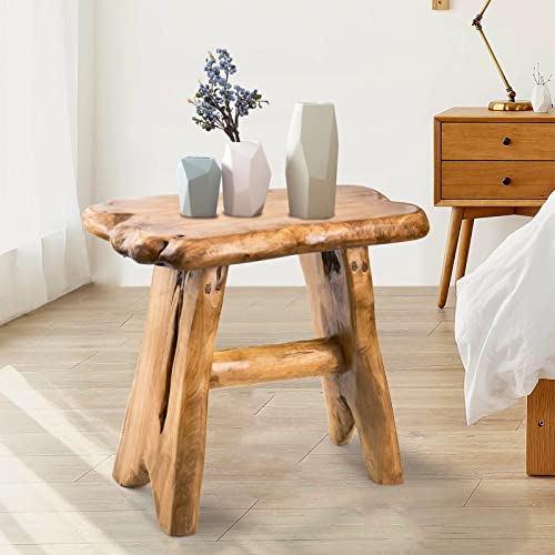 Wood Step Stool, Unique Design Live Edge Wood Stool, Freeform Natural Plant Stand for Garden, Yard, Living Room, Bedroom - size: 19.5"D x 12"W x 18"H