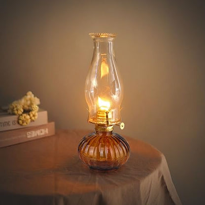 Large Oil Lamp for Indoor Use,Kerosene Lamp with 2 Pcs Wicks and 1 Tweezers