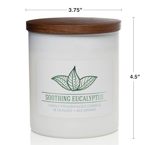 Carolina Soothing Eucalyptus Scented Candle, 16 oz Wellness Relaxing Aromatherapy Candle, 2 Wick White Jar Soy Blend Wax, Candles for Home, 60H Burn - Made in The USA - color: Soothing Eucalyptus