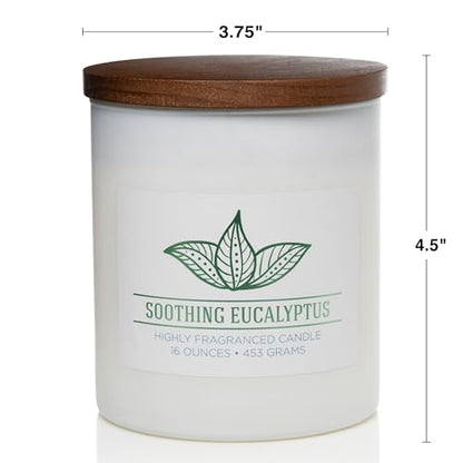 Carolina Soothing Eucalyptus Scented Candle, 16 oz Wellness Relaxing Aromatherapy Candle, 2 Wick White Jar Soy Blend Wax, Candles for Home, 60H Burn - Made in The USA - color: Soothing Eucalyptus