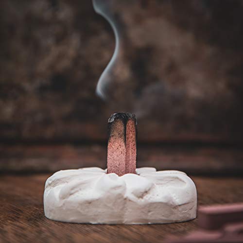 Incienso de Santa Fe - Juniper Natural Wood Incense Bricks with Holder, 100 Count - Made in the USA - color: Juniper, size: 100