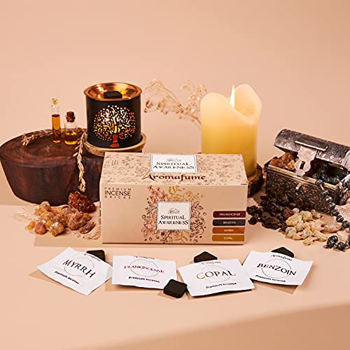 Spiritual Awareness Incense Brick Gift Set & Flower Burner, Aromafume