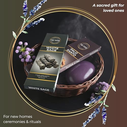 White Sage & Palo Santo - Combo Pack of Incense Sticks - 100 Insence-Sticks of Each Scent - Total 200 Inscents - Incienso for Smudge Rituals and Spiritual Cleansing of Negative Energies - color: White Sage & Palo Santo