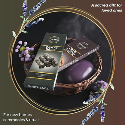 White Sage & Palo Santo - Combo Pack of Incense Sticks - 100 Insence-Sticks of Each Scent - Total 200 Inscents - Incienso for Smudge Rituals and Spiritual Cleansing of Negative Energies - color: White Sage & Palo Santo