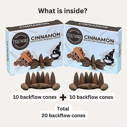 Cinnamon Backflow Incense Cones - Dual Pack of 10 Cones - Waterfall Incense - color: Cinnamon, size: Pack of 2 (20 Cones)