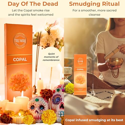 Copal Incense Sticks - Pack of 100 Insence-Sticks for Spiritual Purification - Made with Natural Non Toxic Incienso De Copal - Scented Insense Agarbatti Incents - color: Copal