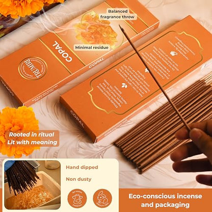 Copal Incense Sticks - Pack of 100 Insence-Sticks for Spiritual Purification - Made with Natural Non Toxic Incienso De Copal - Scented Insense Agarbatti Incents - color: Copal