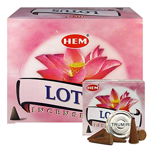 Lotus Incense Cones and Cone Incense Burner Bundle Insence Insense Hem Incense - color: Lotus