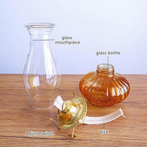 Large Oil Lamp for Indoor Use,Kerosene Lamp with 2 Pcs Wicks and 1 Tweezers