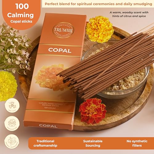 Copal Incense Sticks - Pack of 100 Insence-Sticks for Spiritual Purification - Made with Natural Non Toxic Incienso De Copal - Scented Insense Agarbatti Incents - color: Copal