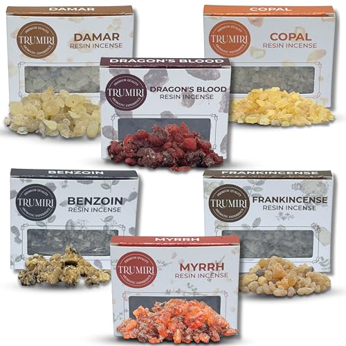 Resin Incense - Natural Tree Gum Sap - 6x30g Variety Pack Including Frankincense and Myrrh Copal Benzoin Dragon's Blood Damar - color: Variety Pack