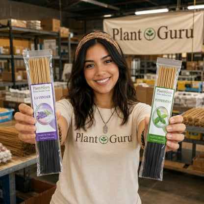 Black Coconut Exotic Incense Sticks 7 Inch - Bulk 1 Bundle 85 to 100 Sticks - Natural 7" Long Lasting Aroma that Burns for 30 to 45 Minutes.