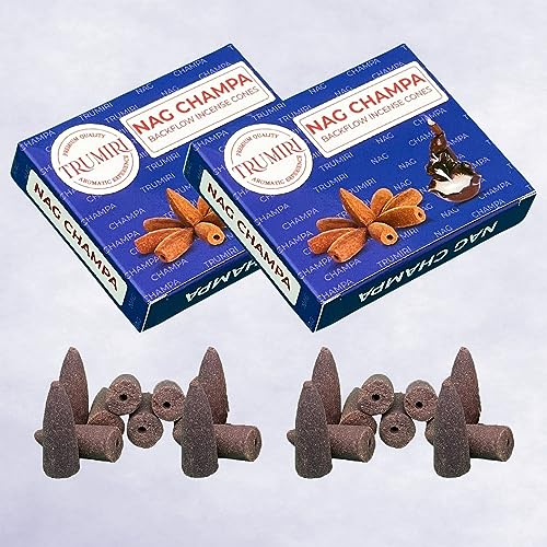 Nag Champa Backflow Incense Cones - Total 60 Incense Cones Waterfall - Six Packs of 10 Incense Backflow Cones - Waterfall Inscent Cones - Incense Waterfall Cones - color: Nag Champa, size: Pack of 6 (60 Cones)