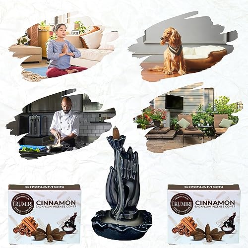 Cinnamon Backflow Incense Cones - Dual Pack of 10 Cones - Waterfall Incense - color: Cinnamon, size: Pack of 2 (20 Cones)