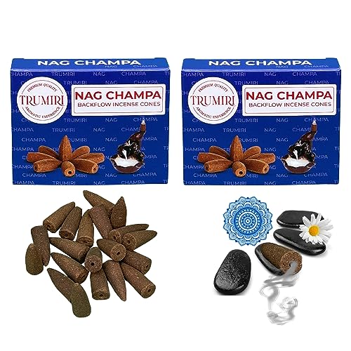 Nag Champa Backflow Incense Cones - Total 60 Incense Cones Waterfall - Six Packs of 10 Incense Backflow Cones - Waterfall Inscent Cones - Incense Waterfall Cones - color: Nag Champa, size: Pack of 6 (60 Cones)