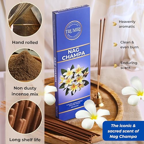 Nag Champa Incense Sticks - Pack of 100 Inscents-Sticks - Scented Insence Made with Natural Ingredients - Indian Spiritual Inciensos Non Toxic Agarbatti Insense - color: Nag Champa
