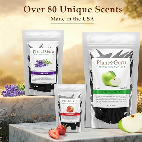 Peppermint Charcoal Incense Cones 2" BACKFLOW - 60 Pack Bulk - Natural Scented Cones Handmade Hand Dipped