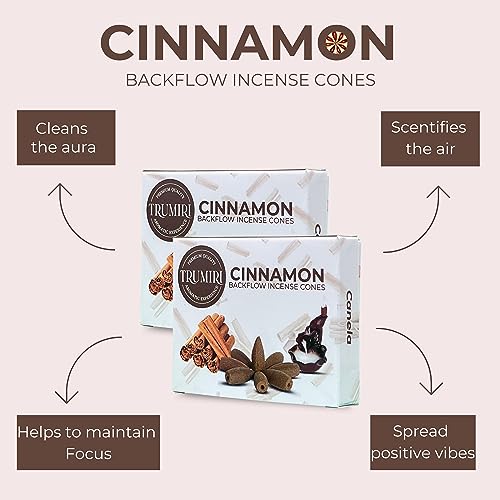 Cinnamon Backflow Incense Cones - Dual Pack of 10 Cones - Waterfall Incense - color: Cinnamon, size: Pack of 2 (20 Cones)