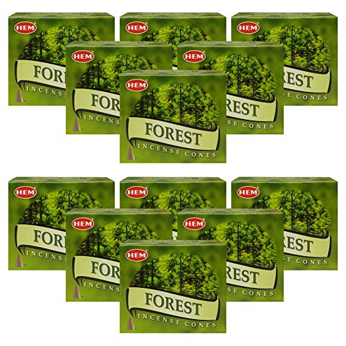 TRUMIRI Forest Incense Cones & Cone Incense Burner Bundle: 120pcs (12 Sets of 10pcs) - color: Forest