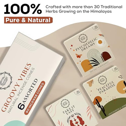 Raajsee Incense Cones, 6 Pack Cone Incense Gift Pack 15 pc Each (90 Total), Insence Cones Variety Pack, 100% Organic Non Toxic Natural - color: Groovy Vibies Cone