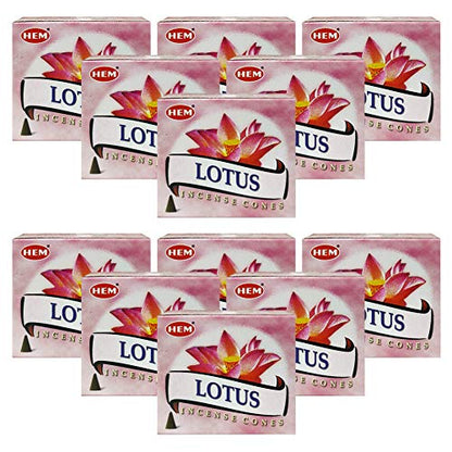 Lotus Incense Cones and Cone Incense Burner Bundle Insence Insense Hem Incense - color: Lotus