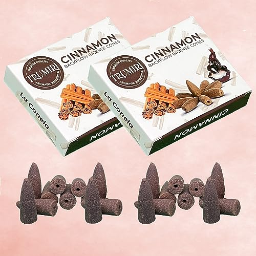 Cinnamon Backflow Incense Cones - Dual Pack of 10 Cones - Waterfall Incense - color: Cinnamon, size: Pack of 2 (20 Cones)